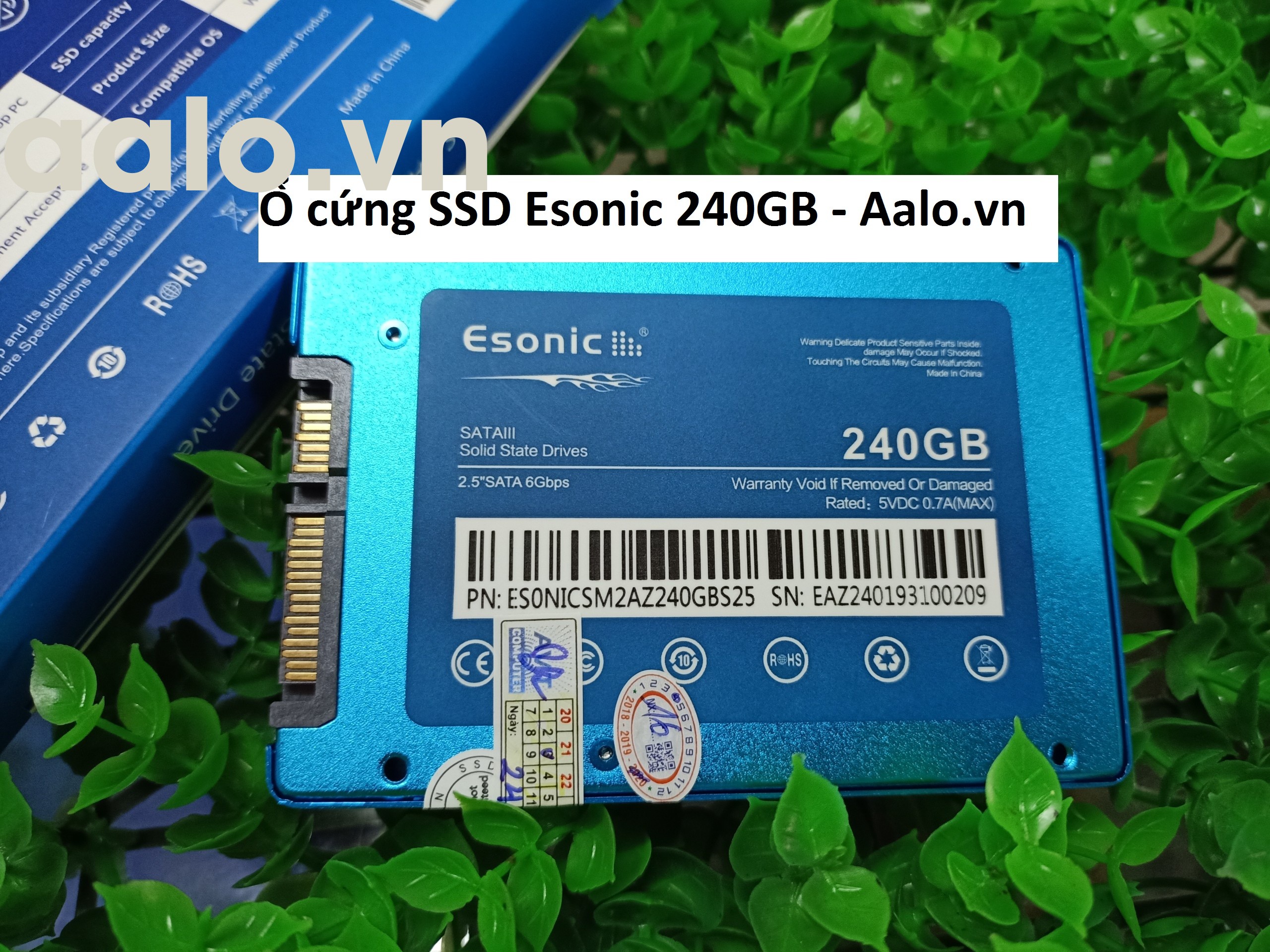 Ổ cứng SSD Esonic 240GB